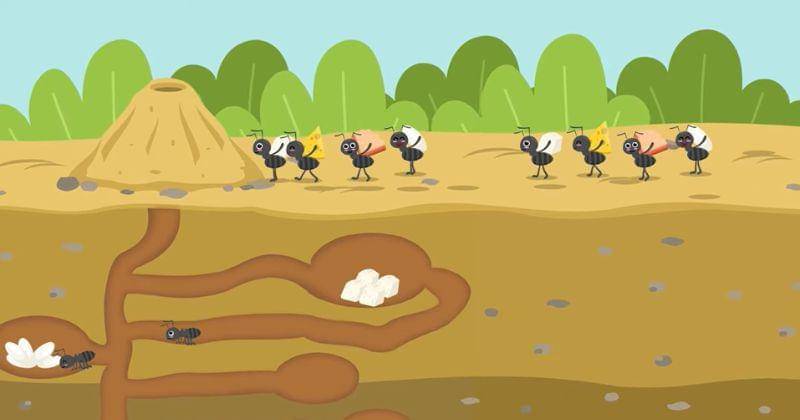 Youtube.com/Studycle Kids